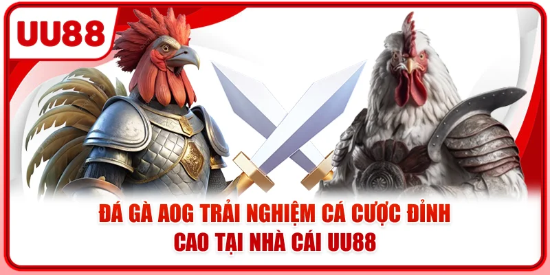 Đá Gà AOG - Trải Nghiệm Cá Cược Đỉnh Cao Tại Nhà Cái UU88